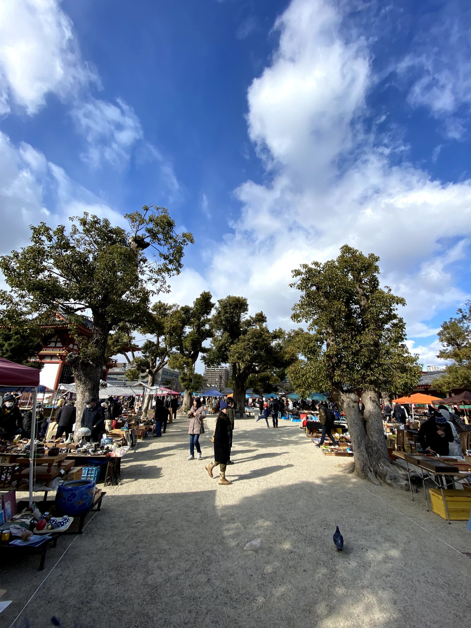 四天王寺 骨董市開催第二日曜日